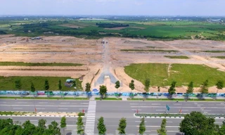 Khu đất 43ha chuyển nhượng trái quy định. Ảnh: Hương Chi