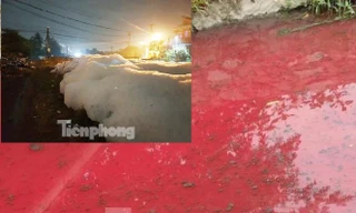 Bình Dương xử lý thủ phạm khiến nước suối đỏ tươi, sủi bọt trắng 