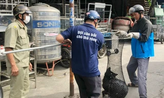 Vụ 6 người bị chó cắn ở Bình Phước: Một người tử vong