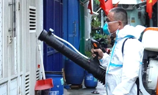 Bình Dương ghi nhận ca tử vong đầu tiên trong năm do sốt xuất huyết