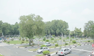 Trường lái ồ ạt sát hạch trước giờ lệnh cấm có hiệu lực