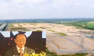 TCT Bình Dương có giám đốc mới sau khi lãnh đạo bị bắt giam 