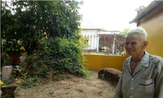 Bí ẩn mộ cổ của vị tướng quân không ai dám đến gần ở Bình Dương