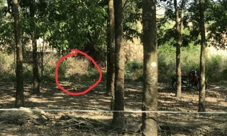 Phát hiện thi thể nam giới cháy đen trong vườn cao su