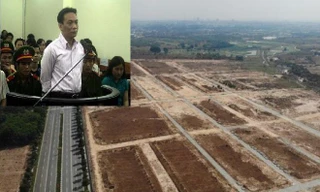 Vụ 43ha đất công về tay tư nhân: Con rể cựu Chủ tịch Tổng Cty Bình Dương giữ vai trò gì?