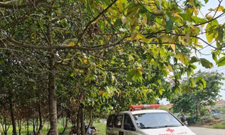 Lực lượng chức năng khám nghiệm hiện trường