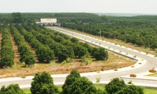 Nông trại Vinamit rộng gần 153 ha đất