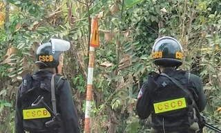 Công an bao vây vườn cam bắt kẻ trốn truy nã 