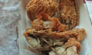 Dòi bò trong hộp xôi gà của sinh viên