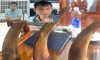 Nhóm đối tượng lừa bán 'thiên thạch', sừng tê giác giả chiếm đoạt hơn 3 tỷ đồng 