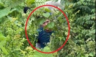 Bị cảnh sát truy đuổi vì mang hàng cấm, nhảy xuống sông vẫn không thoát