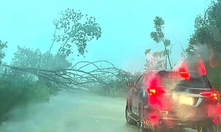 Mưa lớn kèm lốc xoáy, lở đá làm 1 học sinh bị thương ở Bình Phước