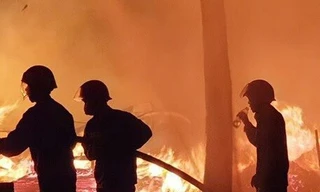 Vườn cây rộng 10.000m2 ở Bình Phước bị lửa thiêu rụi trong đêm 