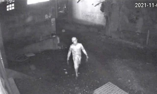 Một gia đình liên tiếp bị 'khủng bố' chất bẩn, chuyển nơi ở vẫn không yên 