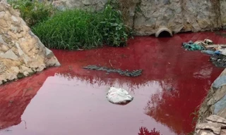 Con suối xuất hiện màu đỏ như máu ở Bình Dương