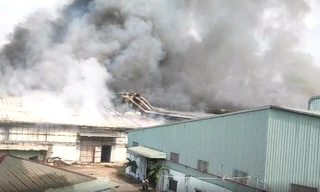 Clip cháy dữ dội, khói bao trùm công ty gỗ ở Bình Dương