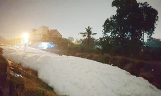 Lộ nguyên nhân khiến hàng loạt kênh, suối ở Bình Dương bị phủ 'tuyết trắng'