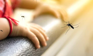 Bé trai 7 tuổi tử vong do sốt xuất huyết Dengue 