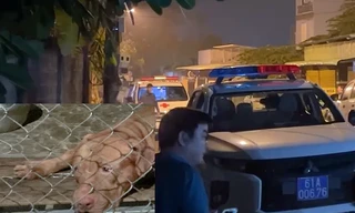 Cụ bà 82 tuổi ở Bình Dương bị chó cắn tử vong tại chỗ