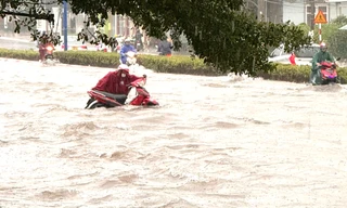 Đường ngập sâu, cây xanh gãy đổ... sau cơn mưa trắng trời ở Bình Dương
