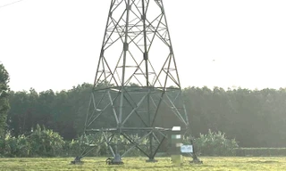 Lên mạng viết xin lỗi gia đình, nam thanh niên tự tử dưới trụ điện cao thế 