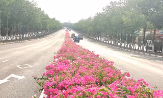 Ngắm tuyến đường qua khu công nghiệp ở Bình Dương đẹp như dải lụa