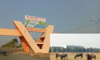 Cận cảnh khu công nghiệp ‘đắp chiếu’ 16 năm ở Bình Dương