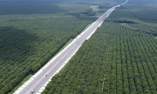 Ngắm đường dài 50km nối Bình Dương, Bình Phước, Đồng Nai sắp thông toàn tuyến