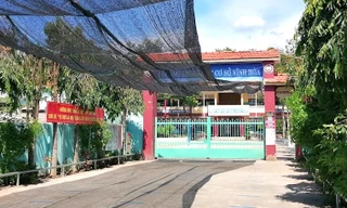 Vì sao một hiệu phó ở Bình Dương bị thu hồi danh hiệu lao động tiên tiến, tiền thưởng?