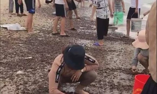 Người dân Quảng Bình nhận 'lộc trời' chưa từng thấy sau cơn bão đi qua