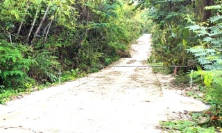 Hai thanh niên thương vong khi lên núi Bà Rá chơi