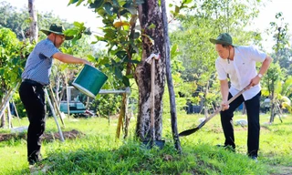 Vườn cây ăn trái của cán bộ, viên chức Bình Dương được xác lập Kỷ lục Việt Nam