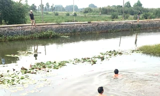 Lội xuống rạch hái hoa súng, thanh niên 18 tuổi tử vong