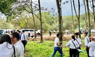 Lại xuất hiện 'chiêu trò' gây sốt đất ở Bình Phước