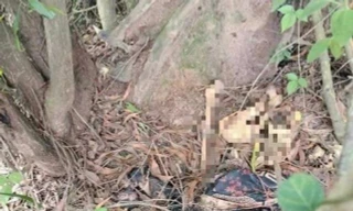 Phát hiện bộ xương người bên bờ kênh ở Bình Dương