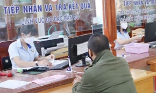 Kỷ luật Giám đốc Công ty TNHH MTV cao su Bình Phước