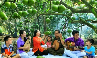 Lễ hội ‘mùa trái chín’ tại Bình Dương có gì đặc biệt?