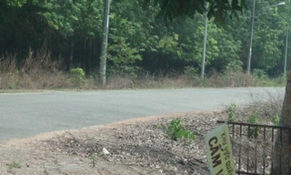 Khởi tố vụ án liên quan sai phạm quản lý sử dụng khu đất công gần 530 ha ở Bình Dương