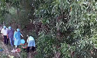 Phát hiện thi thể nam giới bị dao găm vào bụng trong vườn tràm