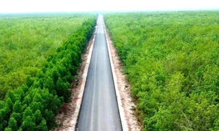 Dự án đường Hồ Chí Minh qua 4 tỉnh phía Nam vừa 'lỡ hẹn' về đích 