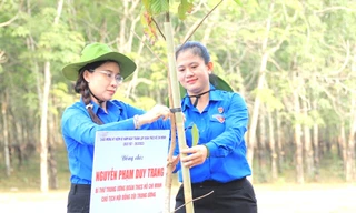 Trồng mới 1 triệu cây xanh 'Vì một Bình Dương xanh'