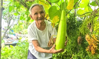 Cụ ông 100 tuổi vẫn vác nặng, uống bia, đi bộ và trồng rau 