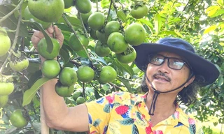 Cận cảnh vườn cây ăn trái ‘độc nhất vô nhị’ ở Bình Dương