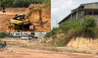 Xử lý các đối tượng 'dời' cả quả đồi mang đi bán ở Bình Dương