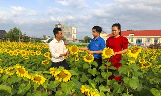 Kỹ sư 9X rời phố thị làm nông trại đẹp như ‘thiên đường’ 