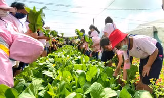 Thiếu nhi Bình Dương sôi nổi trải nghiệm học kỳ hồng miễn phí