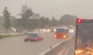 Mưa lớn tại Bình Dương, đường hóa sông, cây gãy đè xe máy