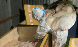 Kinh hãi phát hiện heo chết, nội tạng hôi thối chuẩn bị lên bàn nhậu