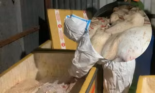 Kinh hãi phát hiện heo chết, nội tạng hôi thối chuẩn bị lên bàn nhậu