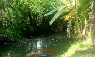 Phát hiện thi thể nữ giới chết bất thường dưới mương nước cạn